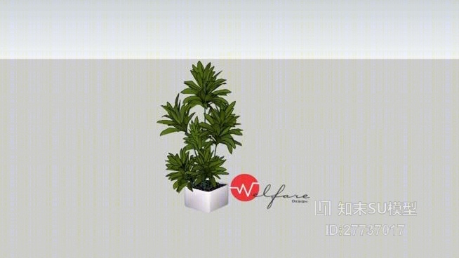 盆栽SU模型下载【ID:27737017】