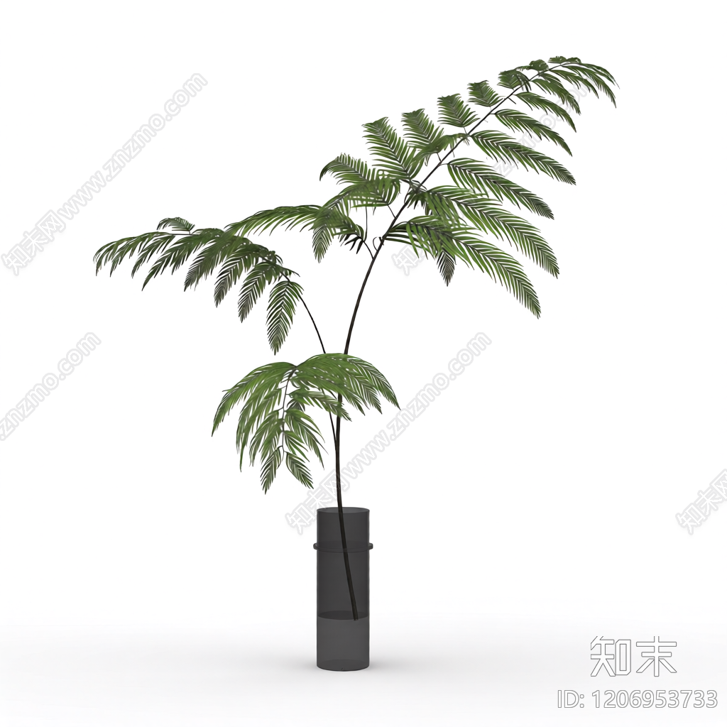 盆栽蕨类植物3D模型下载【ID:1206953733】