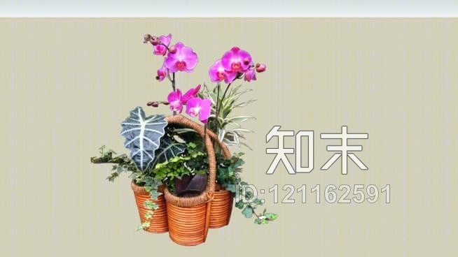 花SU模型下载【ID:121162591】