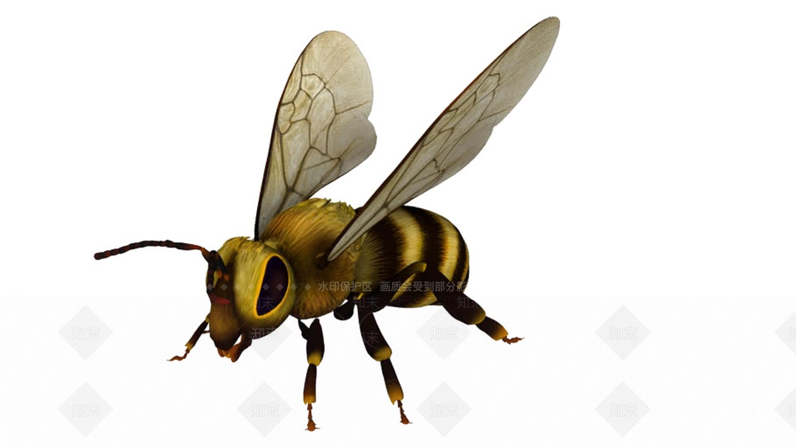 BeesSU模型下载【ID:1162968247】