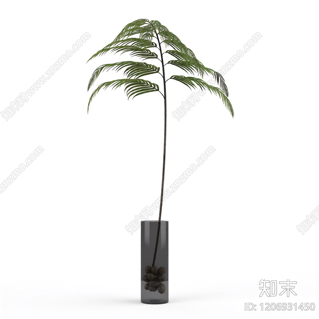 盆栽植物模型3D模型下载【ID:1206931450】