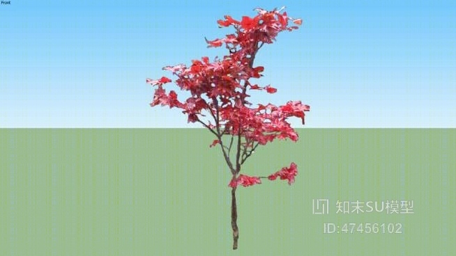花SU模型下载【ID:118003597】