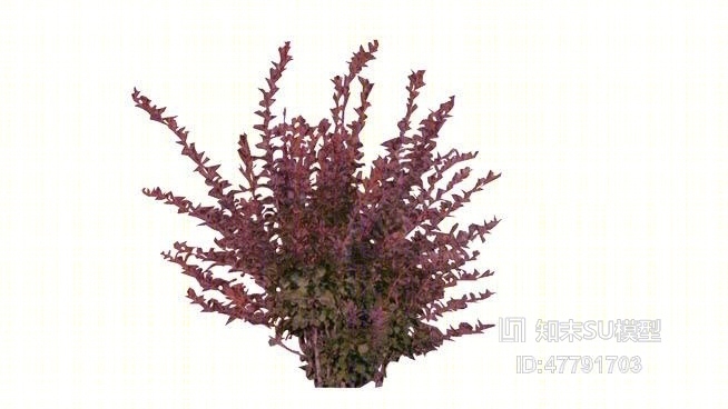 花SU模型下载【ID:47791703】