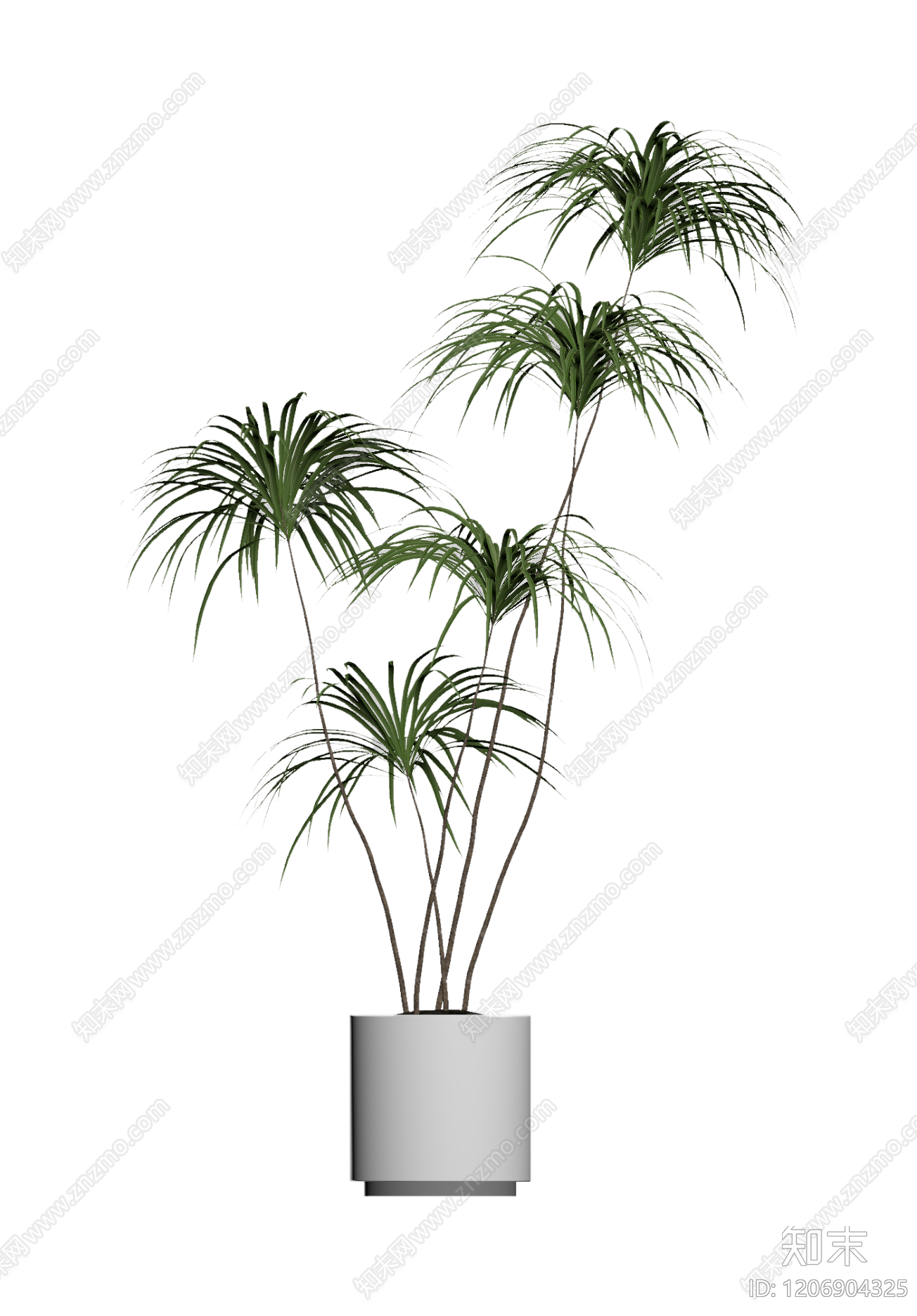 盆栽植物组合3D模型下载【ID:1206904325】