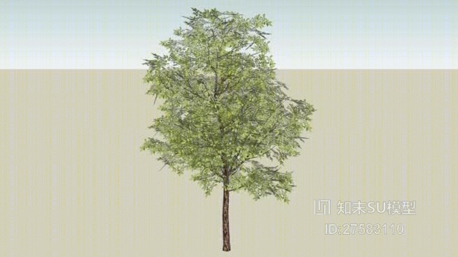 树SU模型下载【ID:119288695】