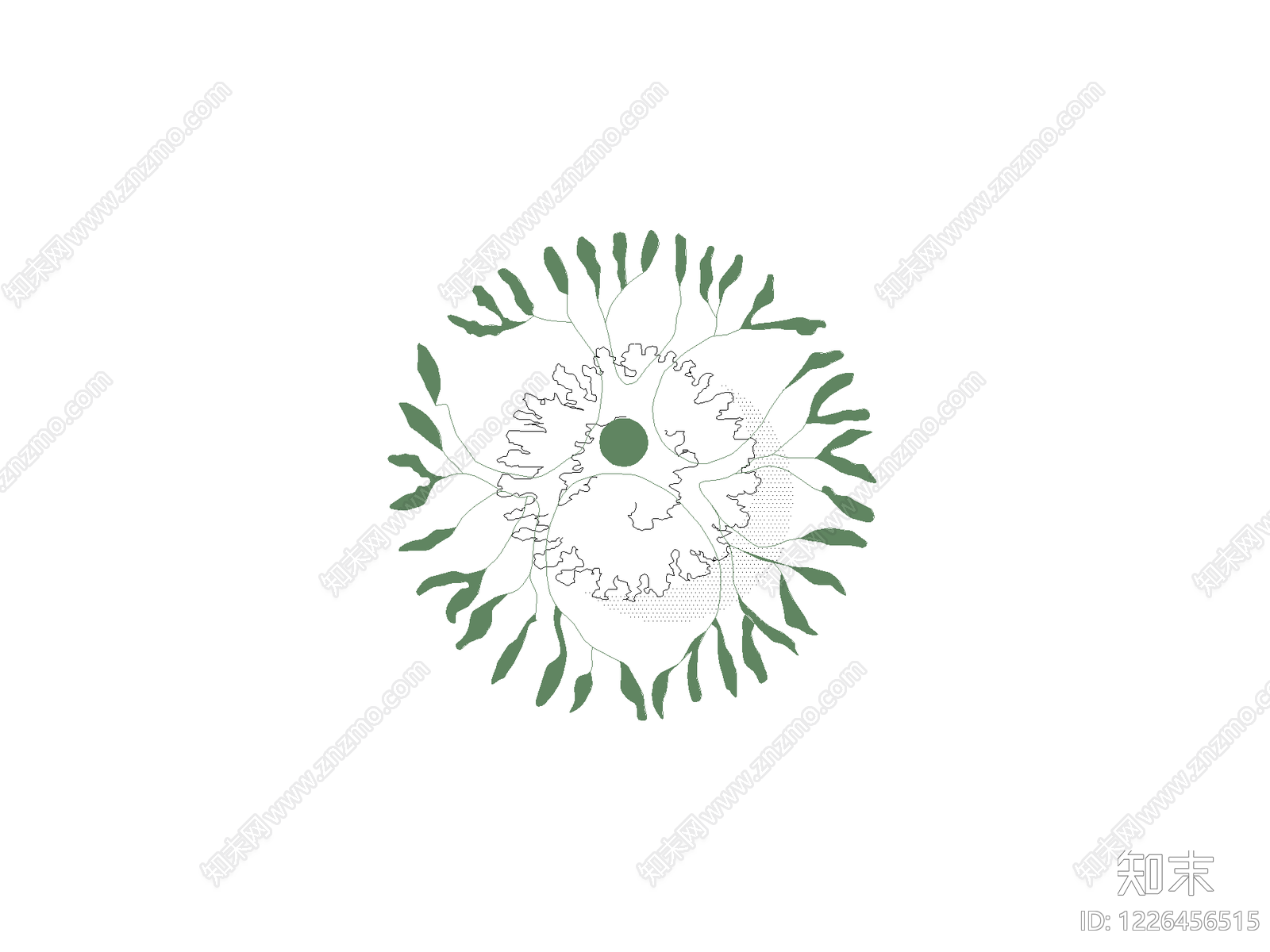 乔木种植CAD图纸