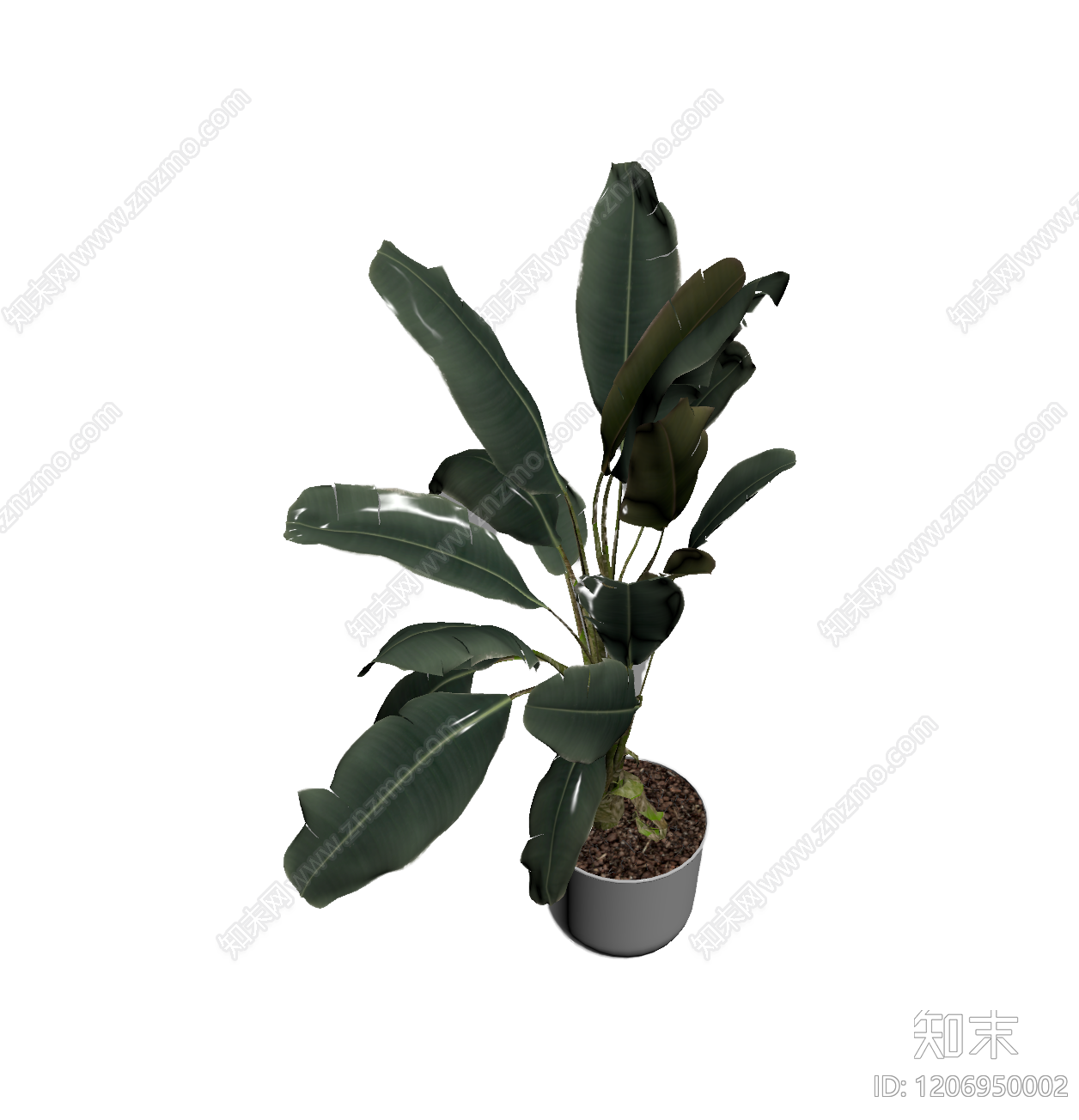 盆栽植物带花盆3D模型下载【ID:1206950002】