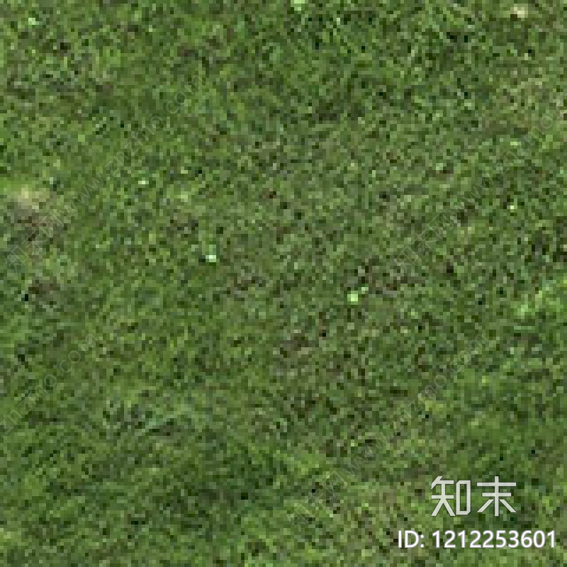 苔藓纹理贴图下载【ID:1212253601】