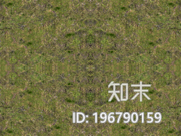 植被盲道下载【ID:196790159】