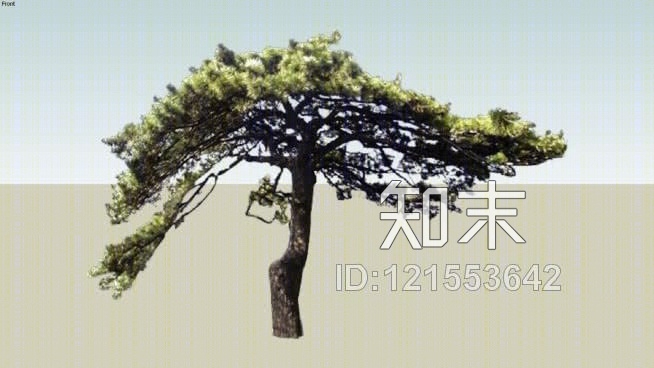 松（松树）SU模型下载【ID:121553642】