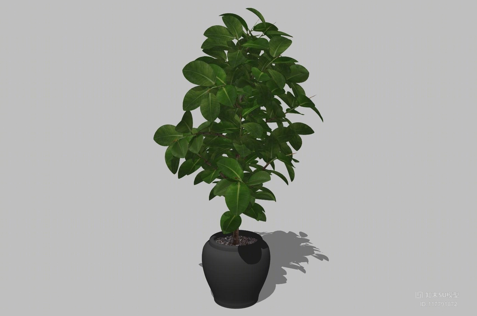 精品免费盆栽SU模型下载【ID:117791872】