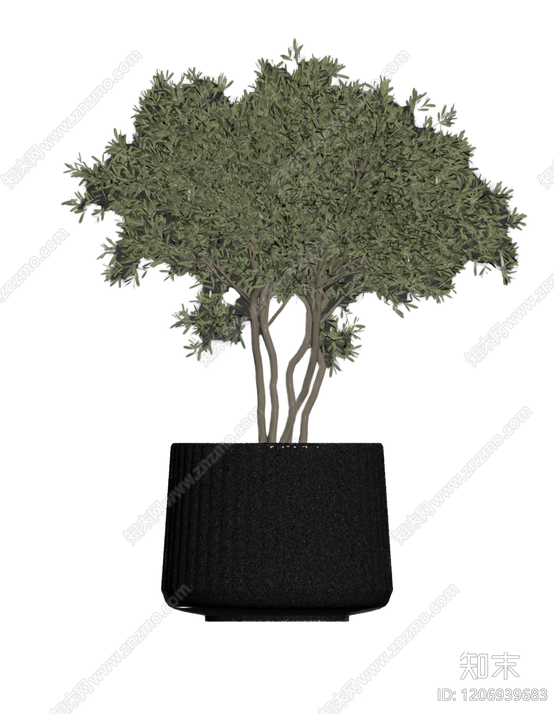 盆栽植物装饰3D模型下载【ID:1206939683】