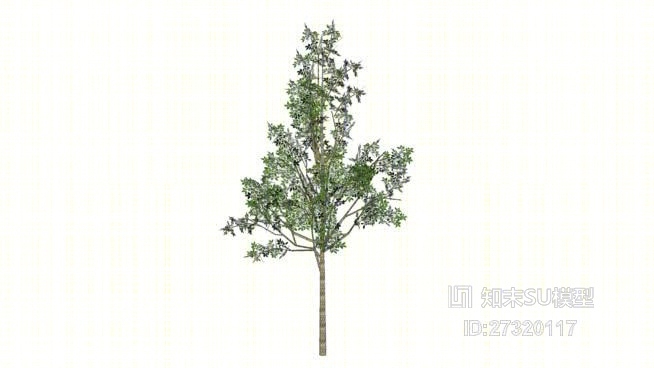三维树SU模型下载【ID:27320117】
