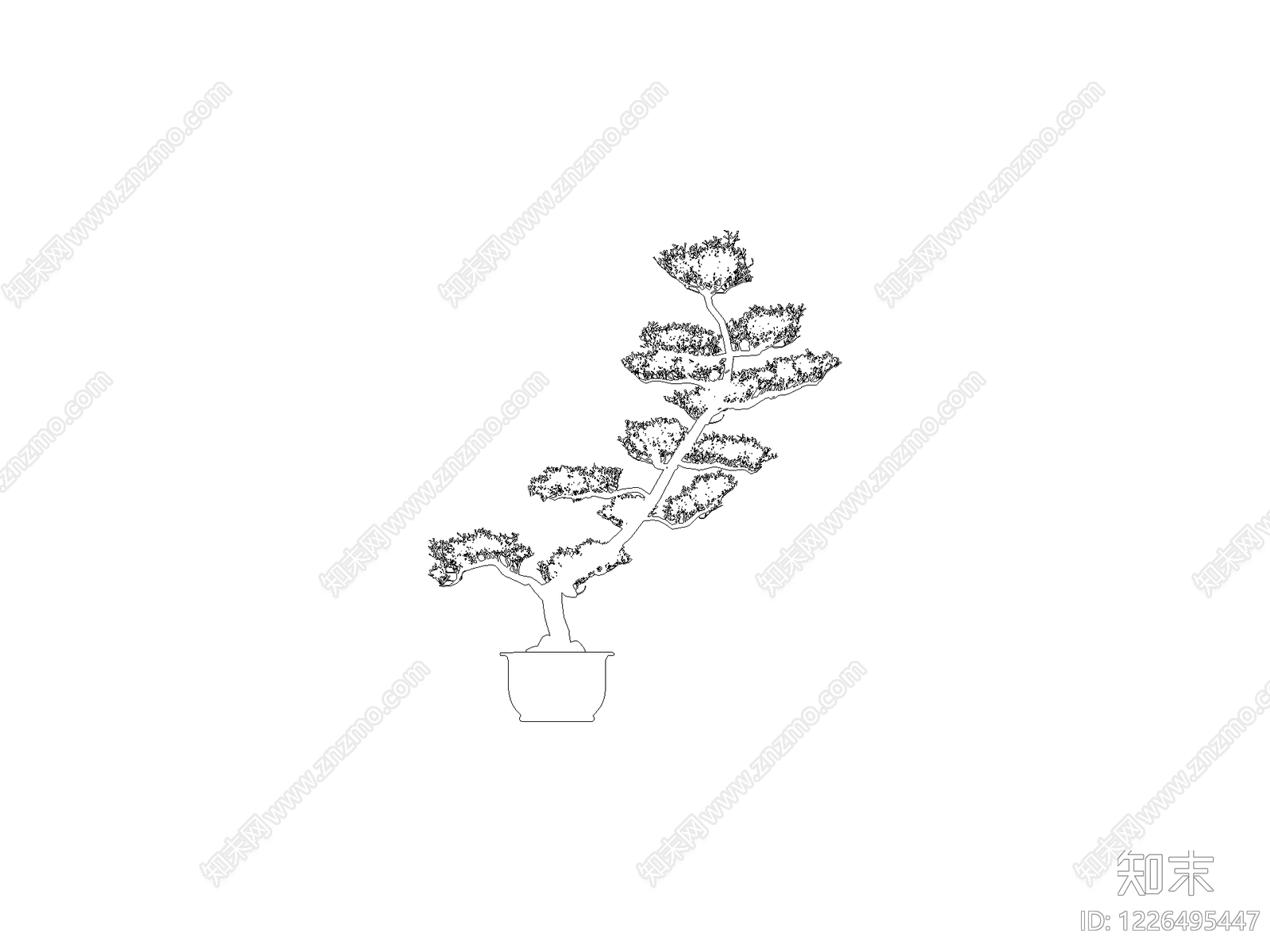 新中式乔木种植CAD图纸