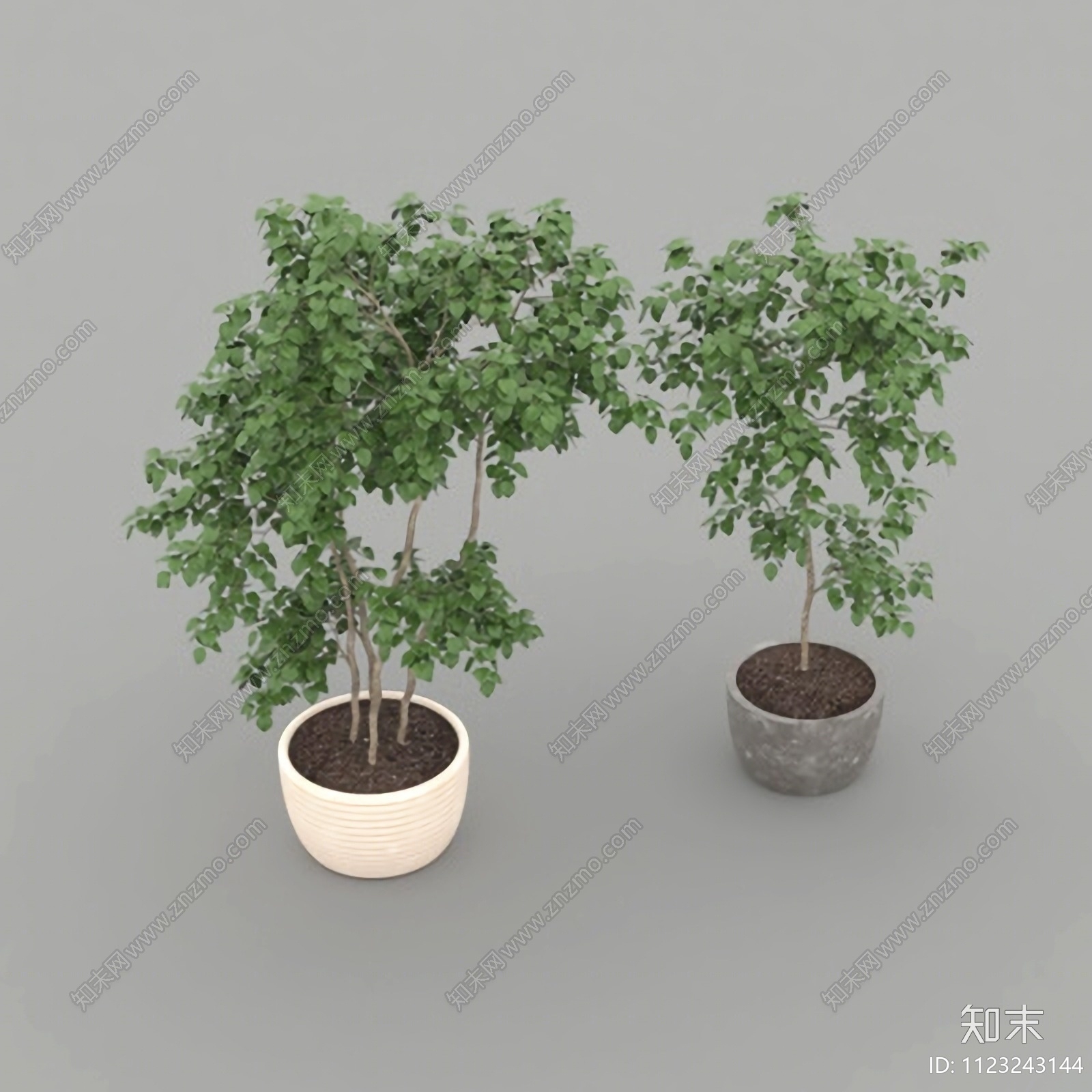 绿植盆栽免费3D模型下载【ID:1123243144】