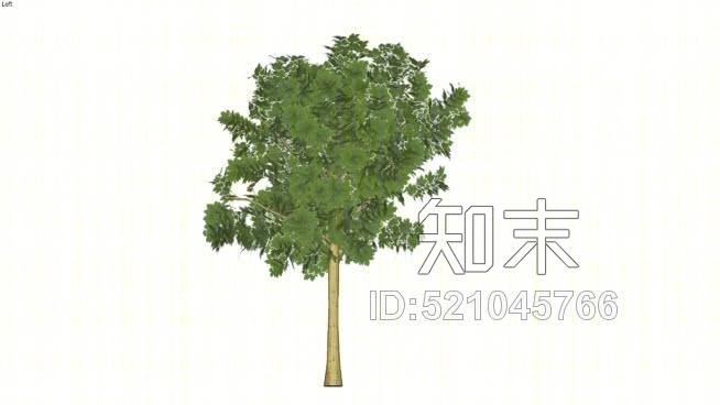 梧桐树SU模型下载【ID:521045766】