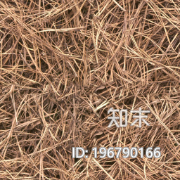 植被盲道下载【ID:196790166】