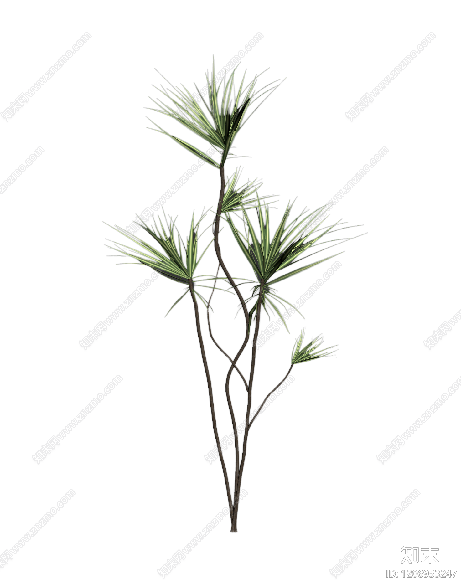 多枝绿植装饰3D模型下载【ID:1206953247】