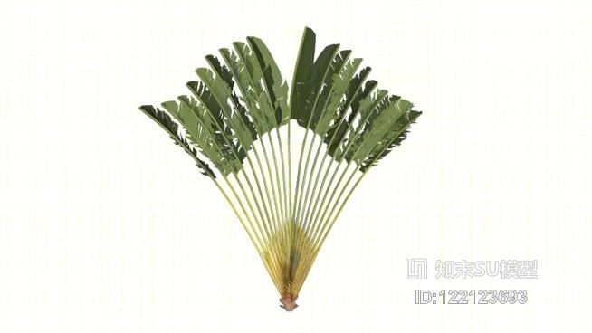 棕榈树01SU模型下载【ID:122123693】