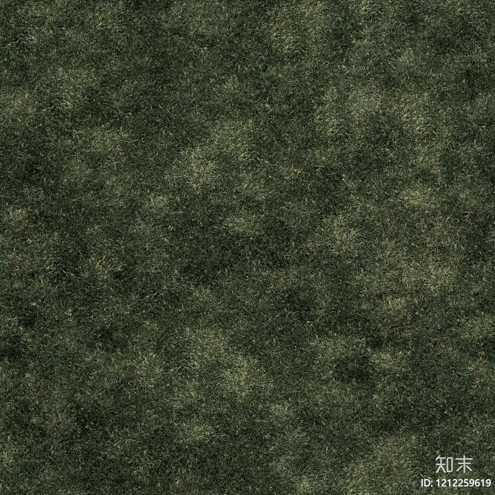 人造草坪贴图下载【ID:1212259619】