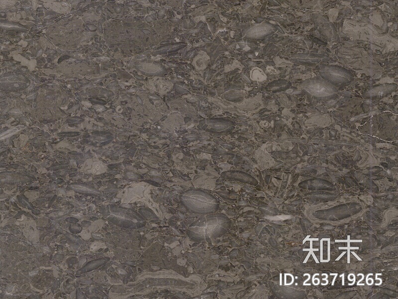 万里石海洋之星贴图下载【ID:263719265】