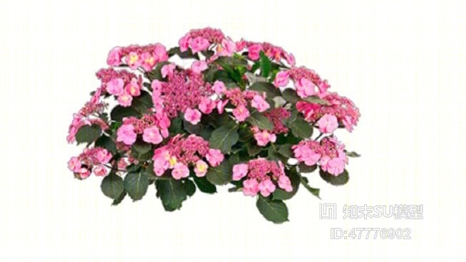 花SU模型下载【ID:47776902】