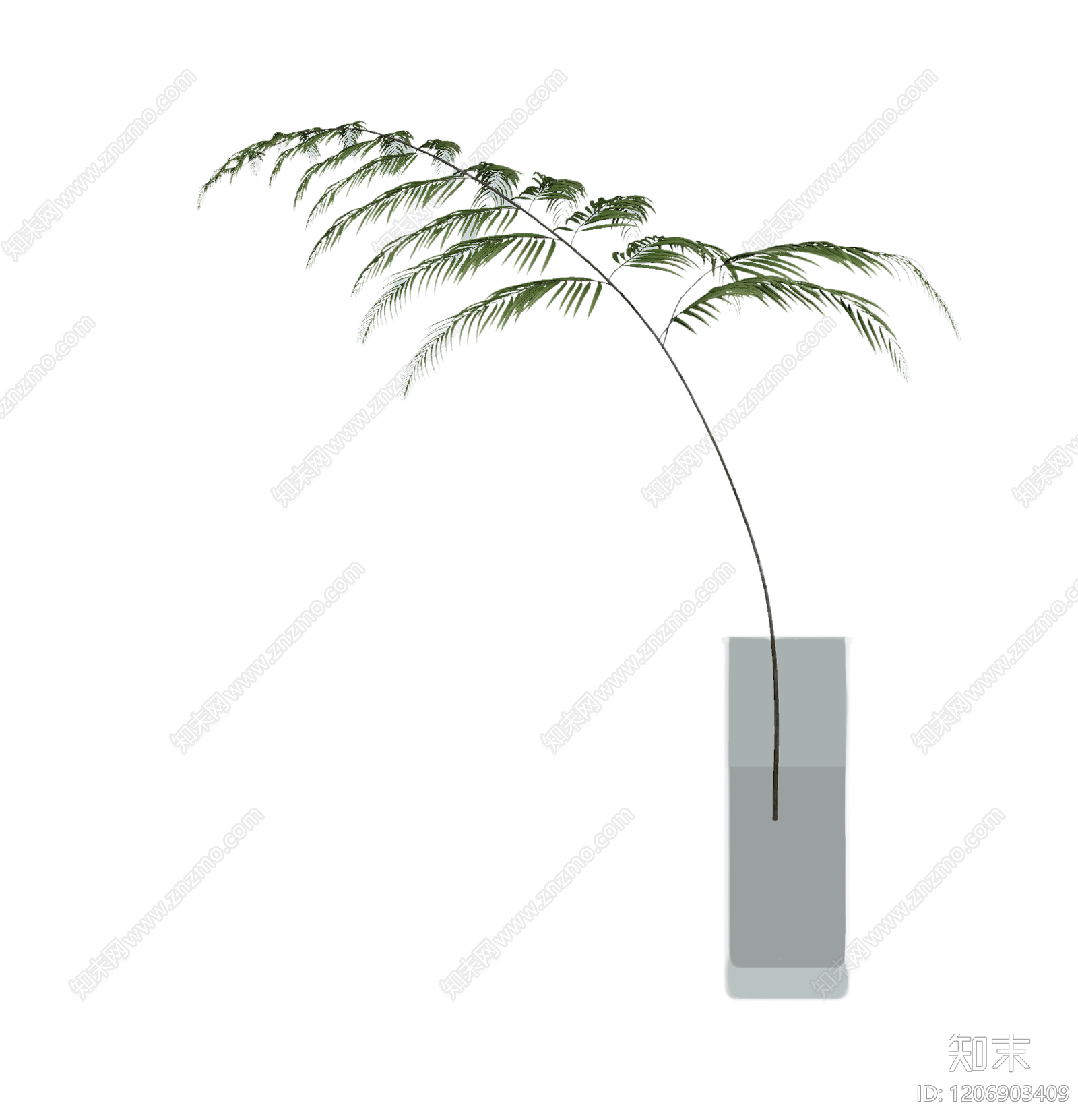 盆栽植物装饰3D模型下载【ID:1206903409】