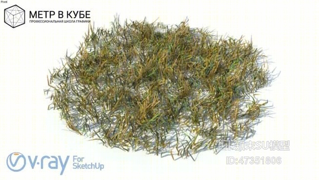 草SU模型下载【ID:217819165】