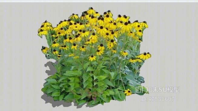 花SU模型下载【ID:119294593】