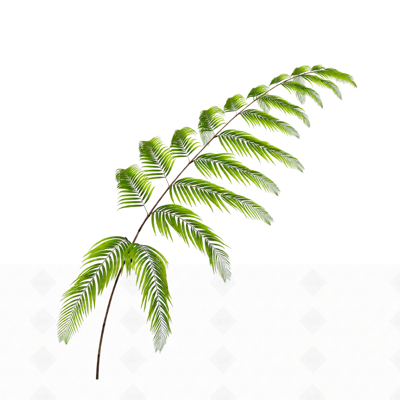 绿色枝叶植物模型3D模型下载【ID:1206183029】