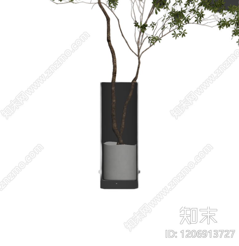 盆栽植物装饰3D模型下载【ID:1206913727】