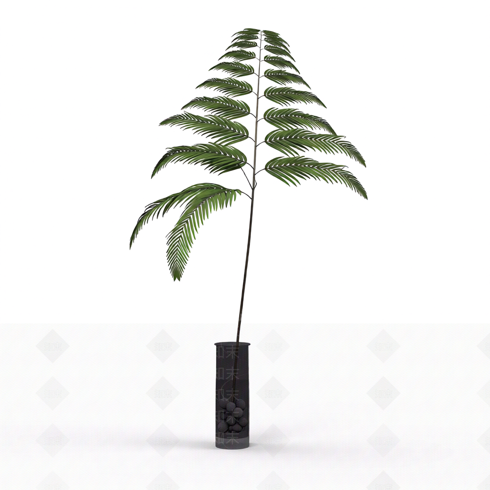 带盆绿植盆栽3D模型下载【ID:1206188629】