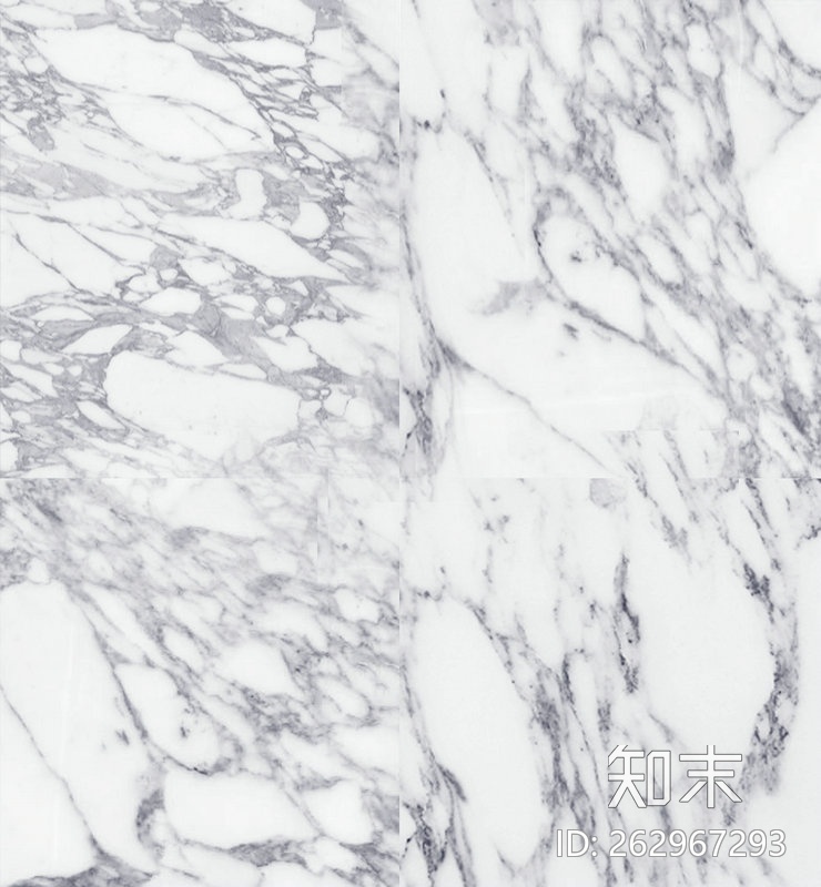 大白花.jpg贴图下载【ID:262967293】