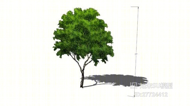 树SU模型下载【ID:27724412】