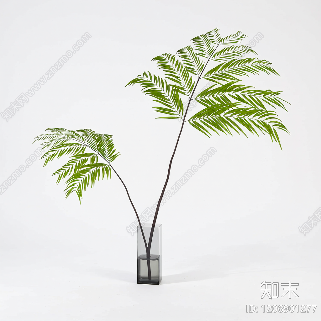盆栽蕨类植物3D模型下载【ID:1206901277】