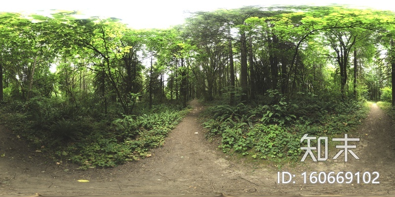 外景户外白天风景环境HDR全景贴图贴图下载【ID:160669102】