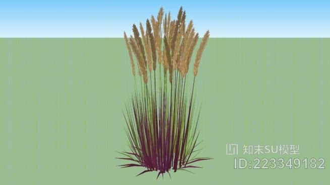 紫泉草SU模型下载【ID:223349182】