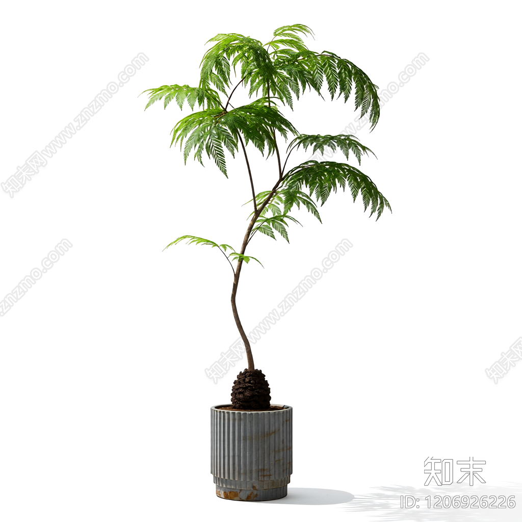 盆栽植物带花盆3D模型下载【ID:1206926226】