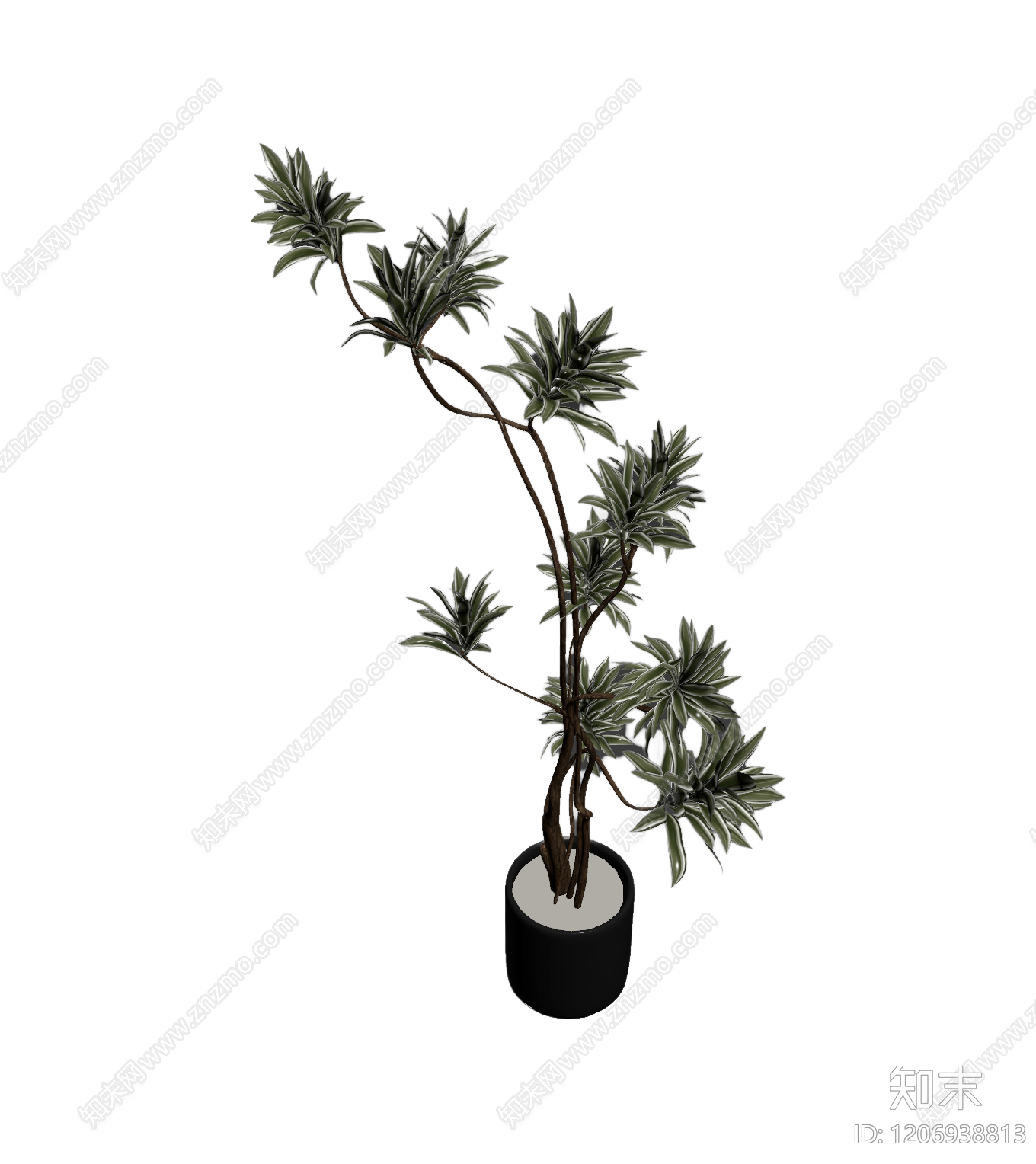 盆栽植物装饰3D模型下载【ID:1206938813】