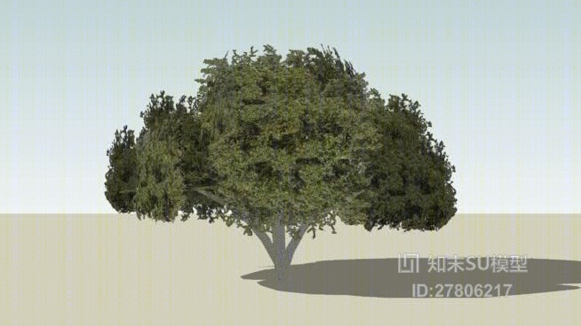 树SU模型下载【ID:118059604】