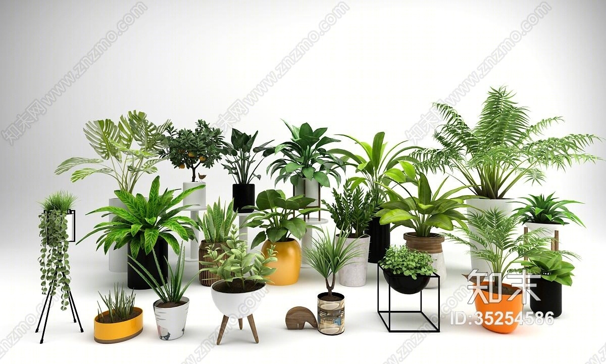 盆栽植物合集3D模型下载【ID:35254586】