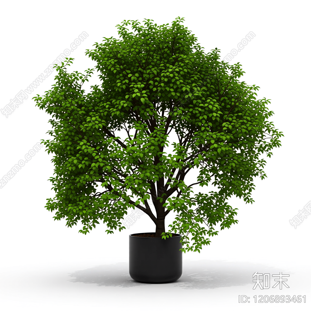 盆栽树带花盆3D模型下载【ID:1206893461】
