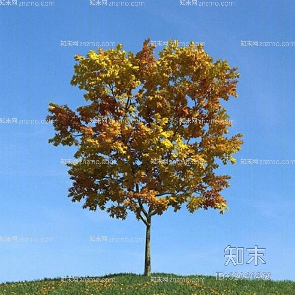 黄色树3D模型下载【ID:32041466】