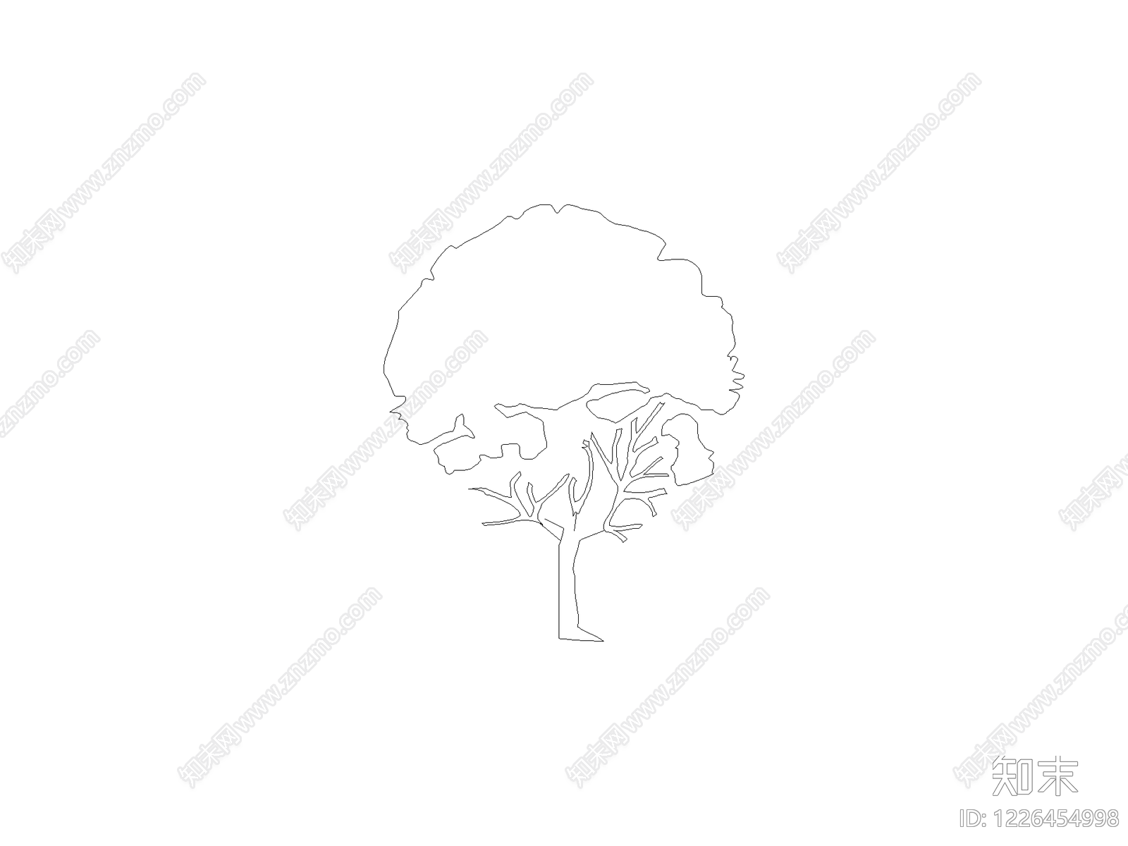 乔木种植CAD图纸