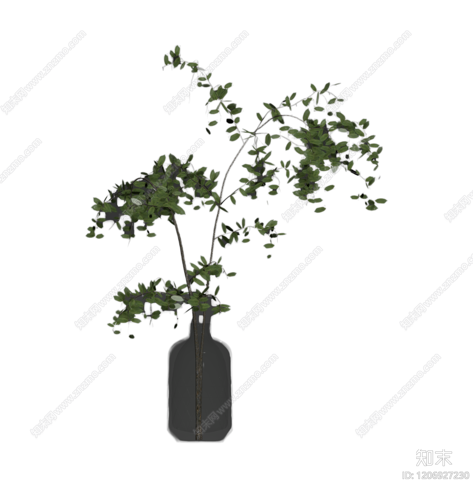 盆栽植物装饰3D模型下载【ID:1206927230】