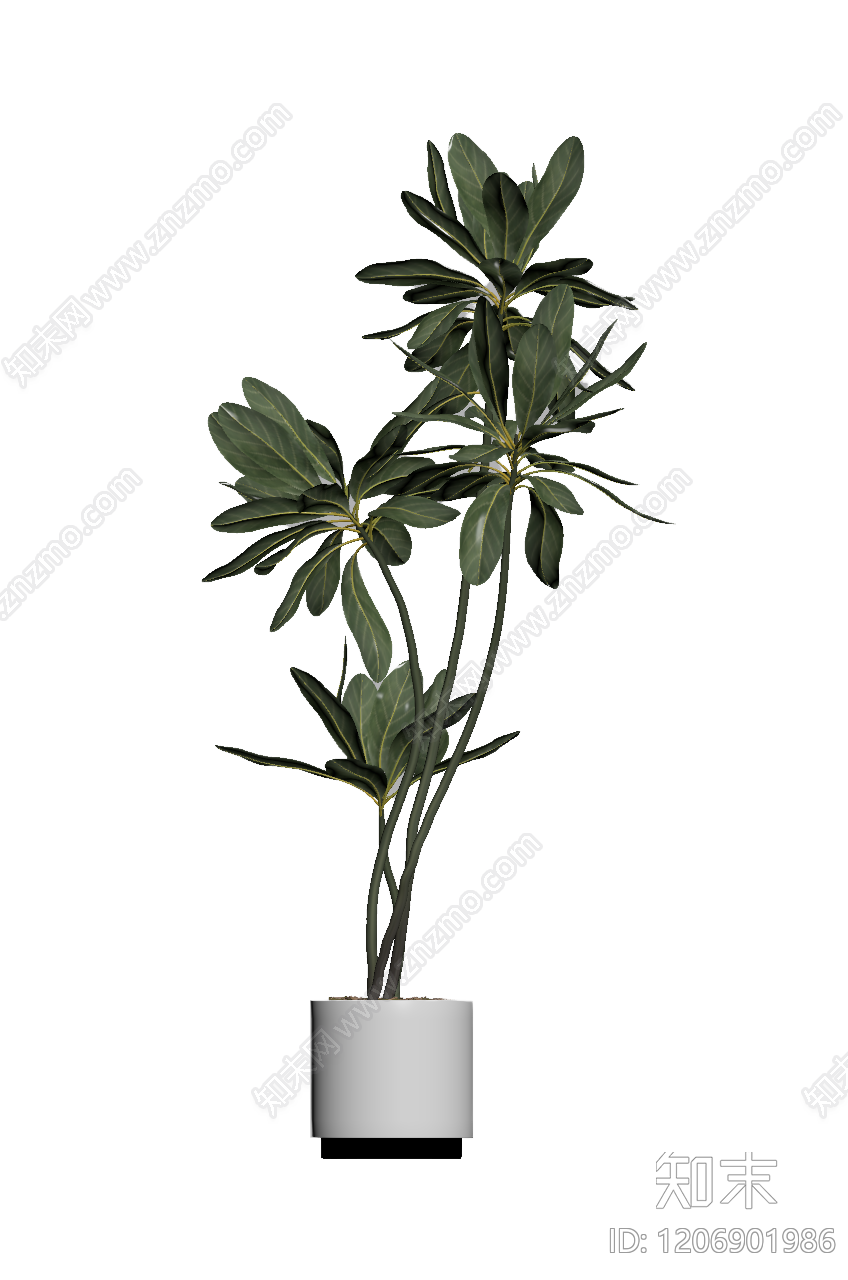盆栽植物组合3D模型下载【ID:1206901986】