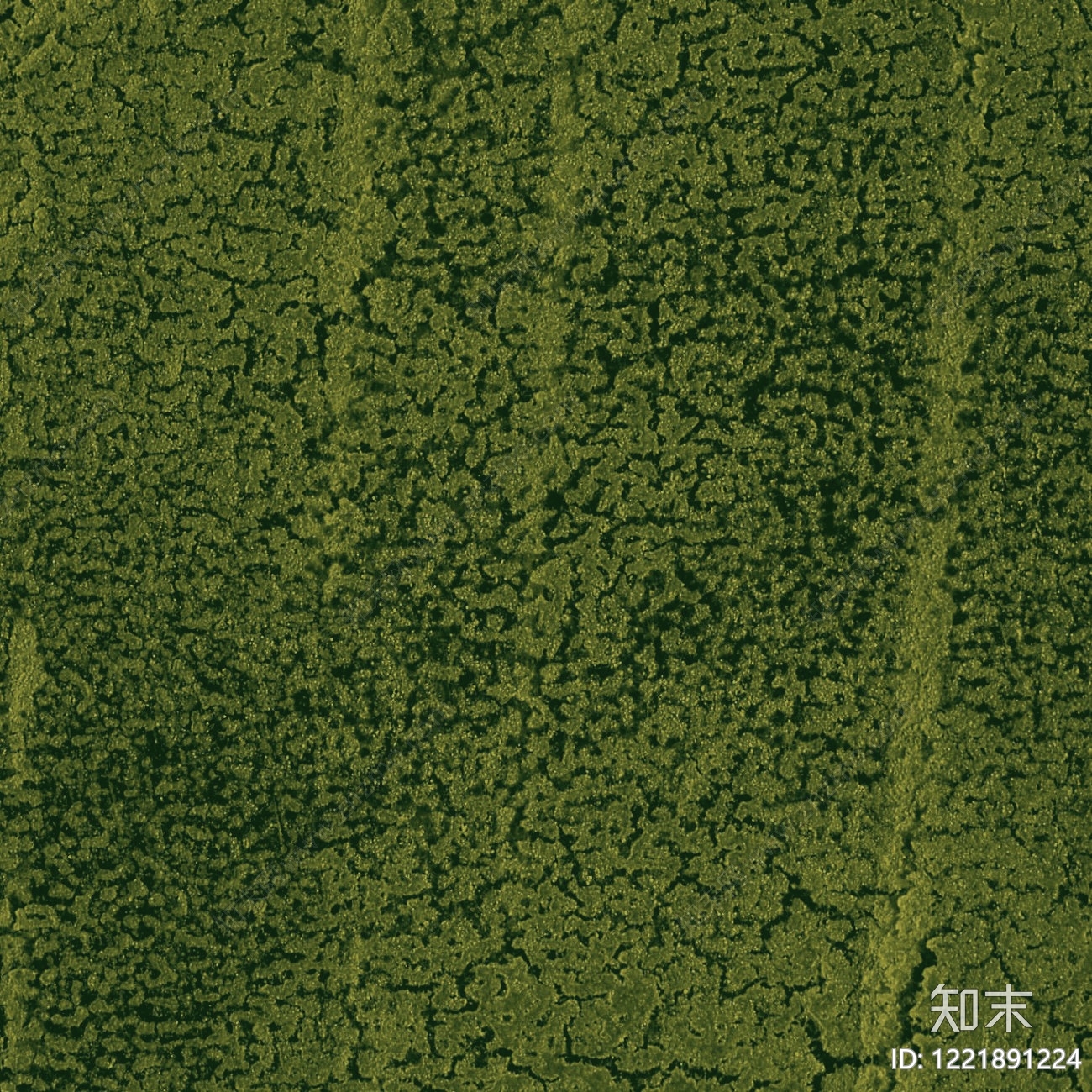 苔藓纹理高清贴图材质