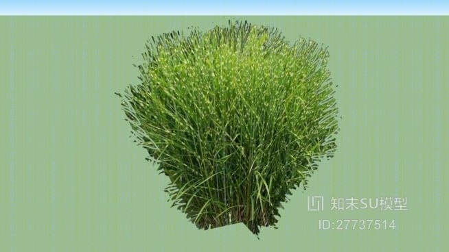 草SU模型下载【ID:27737514】