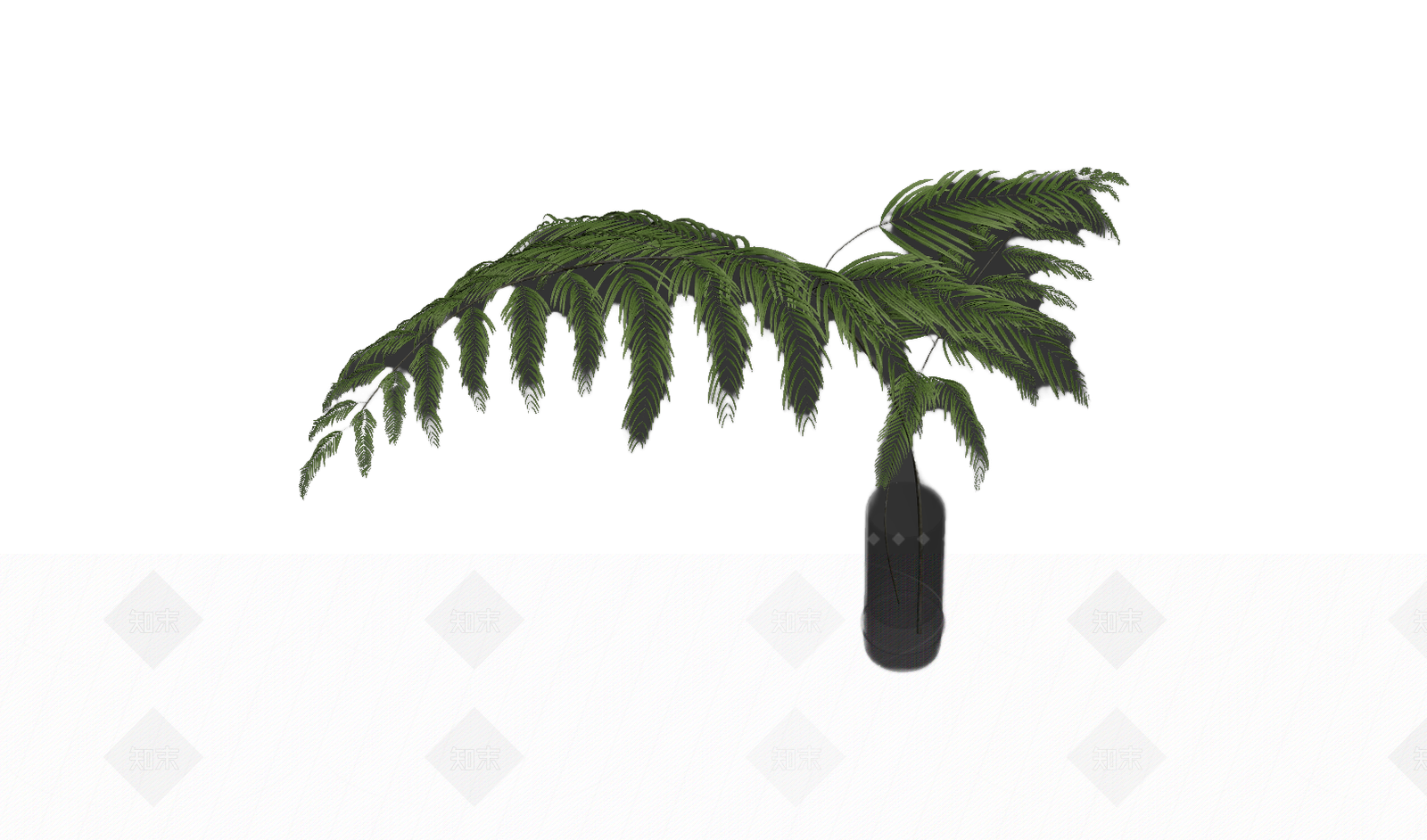 带盆绿色蕨类植物3D模型下载【ID:1206191876】