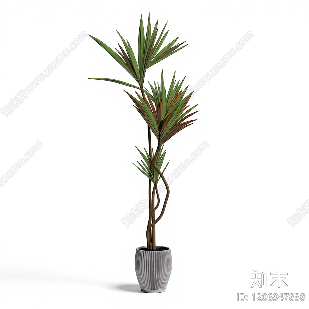 盆栽植物装饰3D模型下载【ID:1206947838】